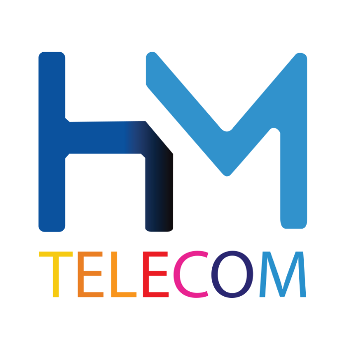 TPE ingenico iWL 250 portable - reconditionné - HM Telecom
